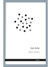 Cam Arılar - Ernst Jünger - Jaguar Kitap