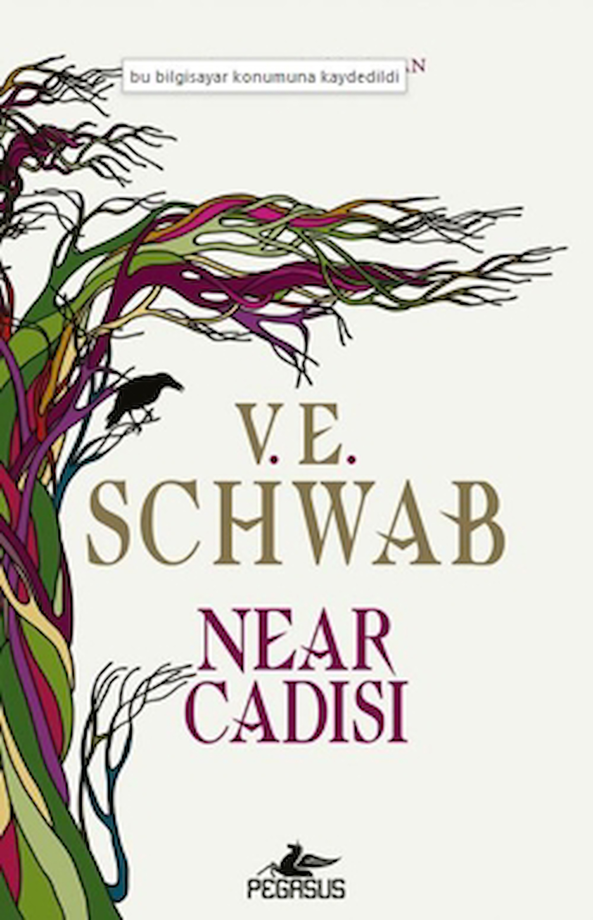Near Cadısı / V. E. Schwab / Pegasus Yayınları / 9786254104466