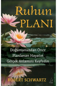 Destek Yayınları Ruhun Planı / Robert Schwartzman / Destek Yayınları / 9786256209831