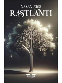 Rastlantı - Nazan Ateş - Perseus Yayınevi