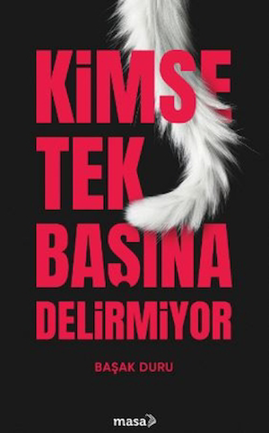 Kimse Tek Başına Delirmiyor / Başak Duru / Masa Kitap / 9786259454276
