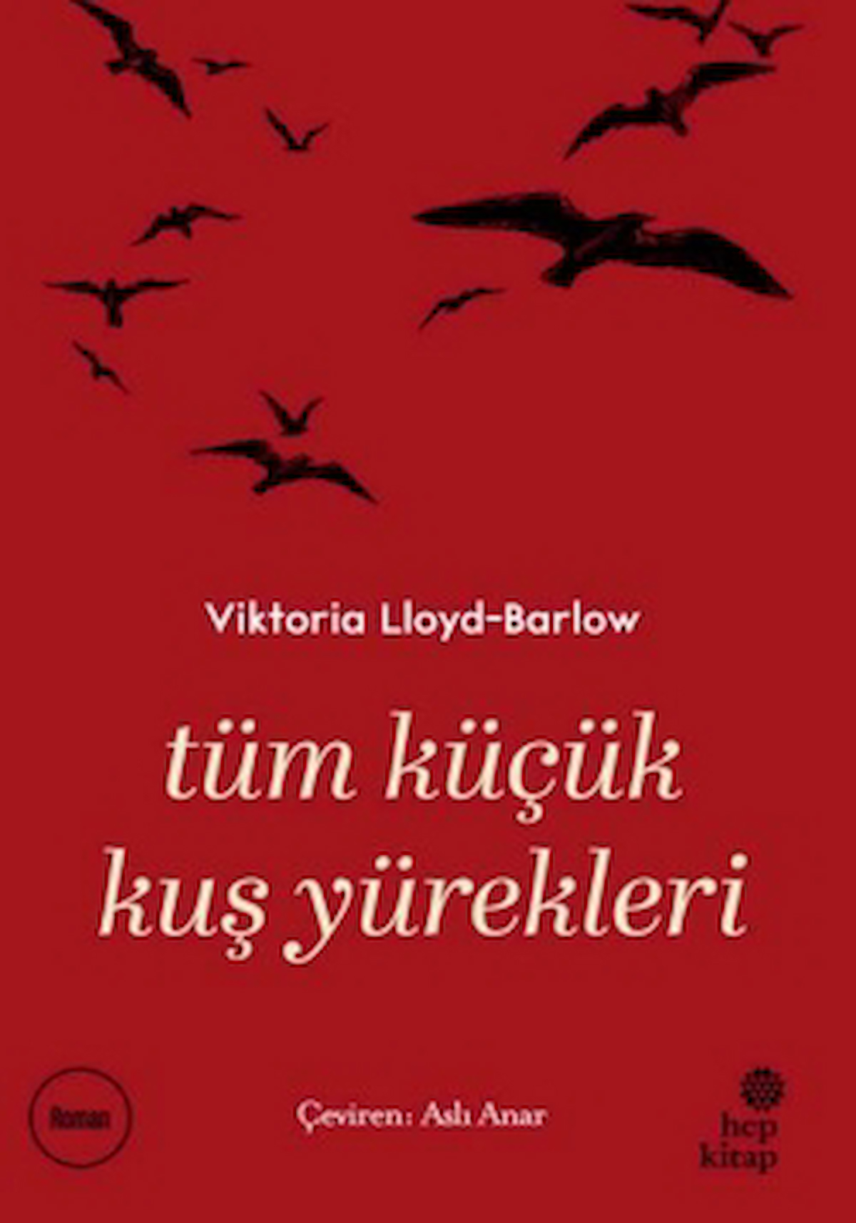 Tüm Küçük Kuş Yürekleri / Viktoria Lloyd Barlow / Hep Kitap / 9786051925516