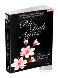 Bir Deli Ayaz - Zeynep Saraç - Arunas Yayıncılık