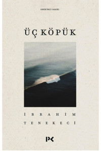 Profil Kitap Üç Köpük, Ibrahim Tenekeci, , Üç Köpük Kitabı, 46 Sayfa