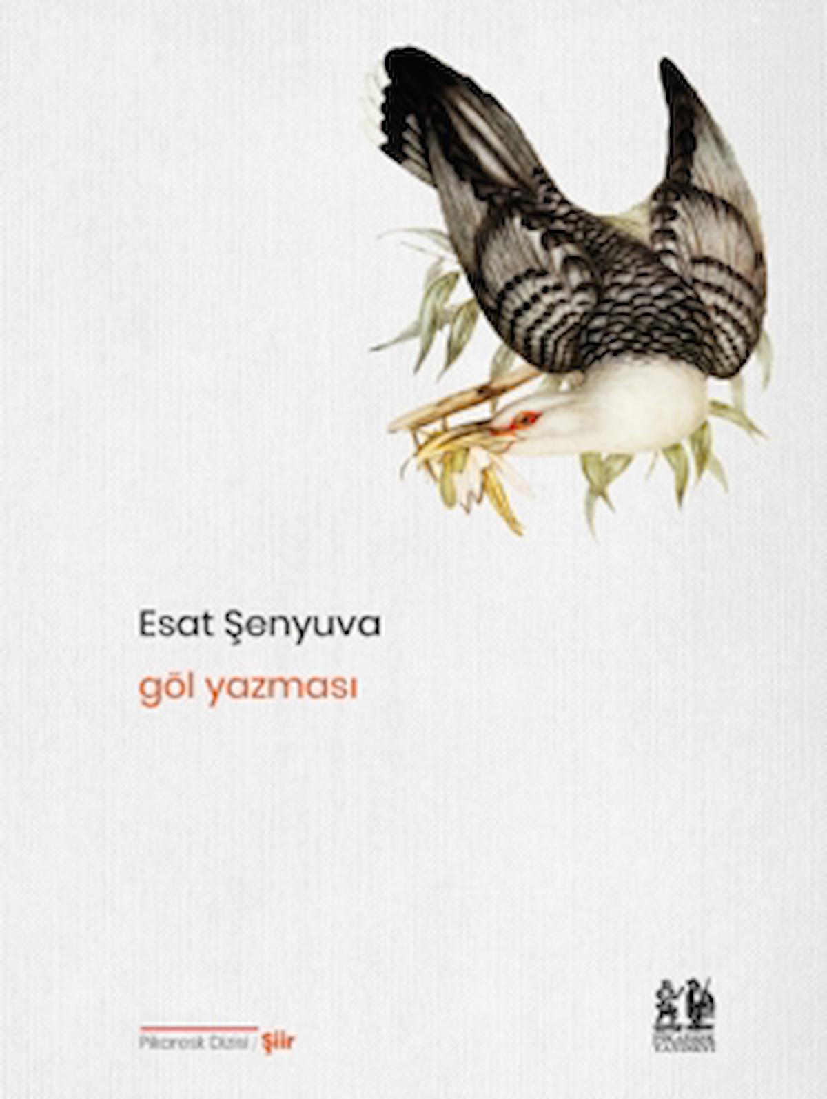 Göl Yazması / Esat Şenyuva / Pikaresk Yayınevi / 9786256778009