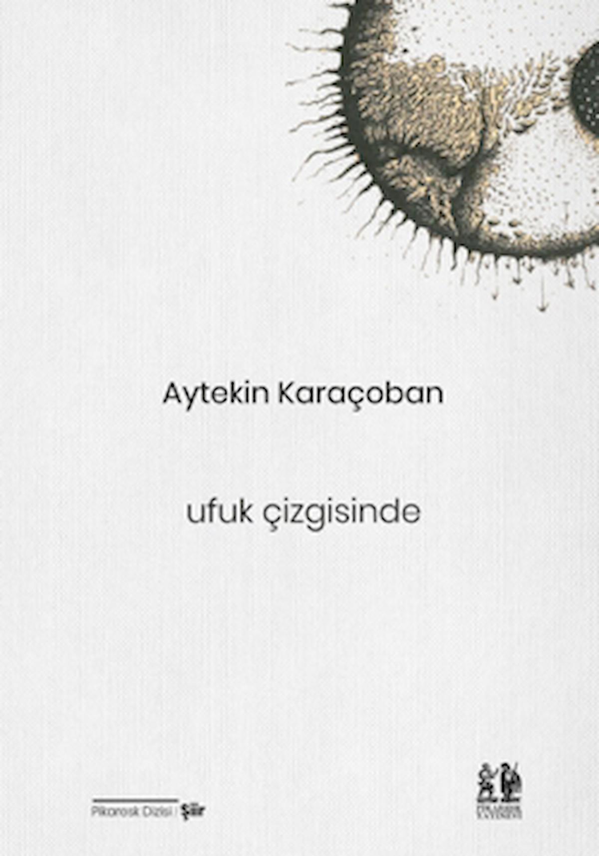Ufuk Çizgisinde / Aytekin Karaçoban / Pikaresk Yayınevi / 9786057214485