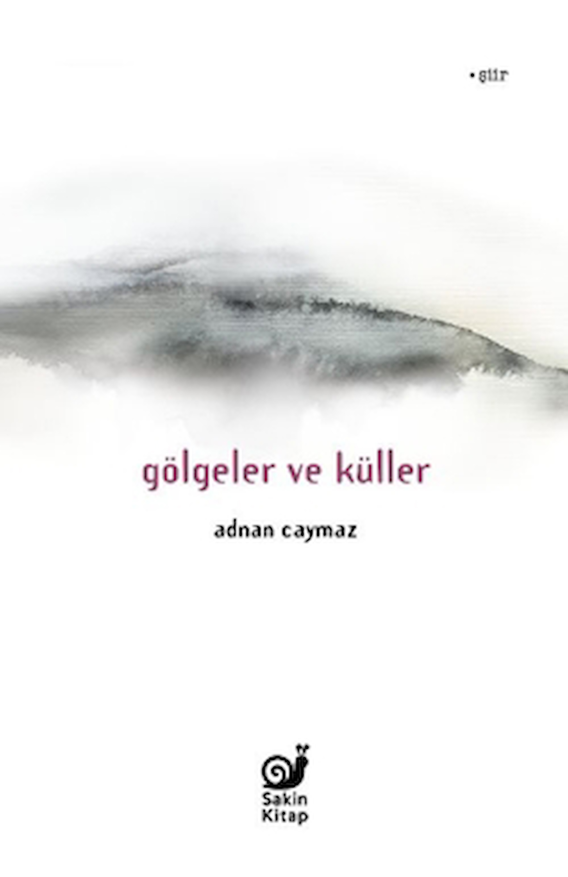 Gölgeler ve Küller / Adnan Caymaz / Sakin Kitap / 9786259808628
