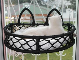 Lepus Lüxperilay Cam Güzeli Kedi Köpek Yatak Mix 50X35 Cm