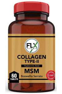 Flx Collagen Type II Tablet Kolajen 60 Tablet