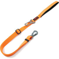 Hepta Collection Tailpetz Travel Leash Araç Emniyet Tokası Kedi Köpek Gezdirme Sevk Kayışı (Turuncu, Medium 2cm)