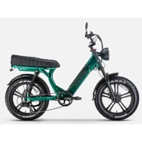 Ryder Ape Ryder MD10 250 W 80 Km Menzil 7 Vites Elektrikli Şehir / Tur Bisiklet Yeşil