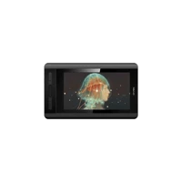 Xp Pen Artist 12 11.6 inç Ekranlı Kalemli FULL HD Kablolu Grafik Tablet Siyah