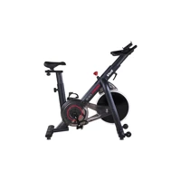 Voit Black Spin Bike 110 kg Kapasiteli Manuel Mekanik Dikey Kondisyon Bisikleti Gri