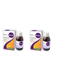 Wellcare Immune Yetişkin Mineral 2x150 Adet