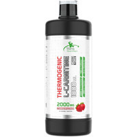 Torq Nutrition Çilek Aromalı L-Karnitin 1000 ml Sıvı