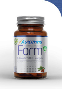 Avicenna L-Karnitin 120 Kapsül