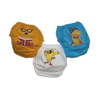 Story Baby 9 kg 3'lü Sızdırmayan Yıkanabilir Ördek-Kuş Desenli Alıştırma Külodu