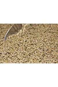 Agsu Kabuklu Karışık Bıldırcın Yemi 5 kg
