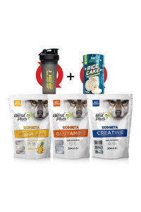 Bpn Best Plus Nutrition Ananas Aromalı Glutamin BCAA 210 gr Toz + Glutamin 204.4 gr + Creatine 204.4 gr + Rice Cake 100 gr + Shaker