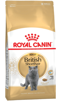 Royal Canin British Shorthair Tavuklu Tahıllı Yetişkin Kuru Kedi Maması 400 gr