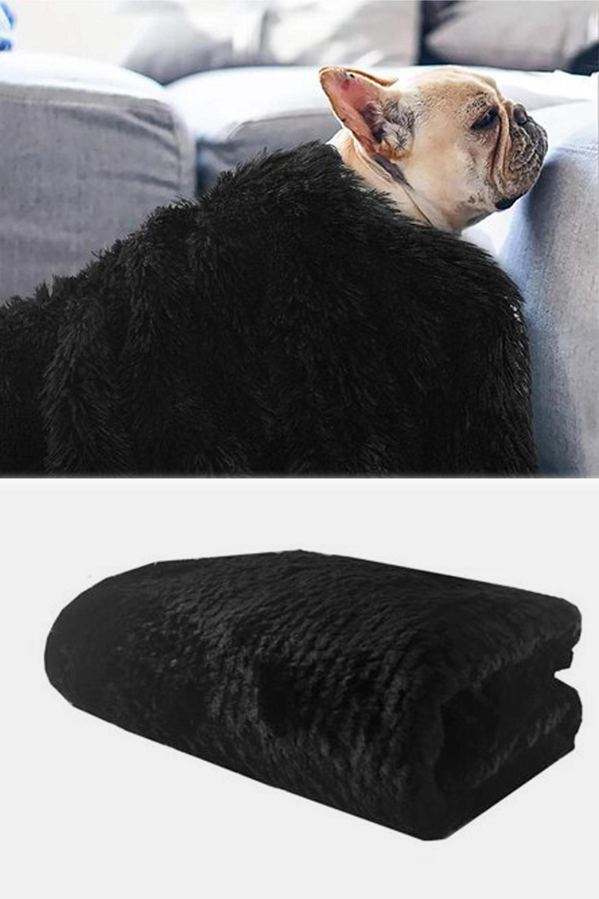 Bundera Küçük Irk İç Mekan Köpek Yatağı Siyah