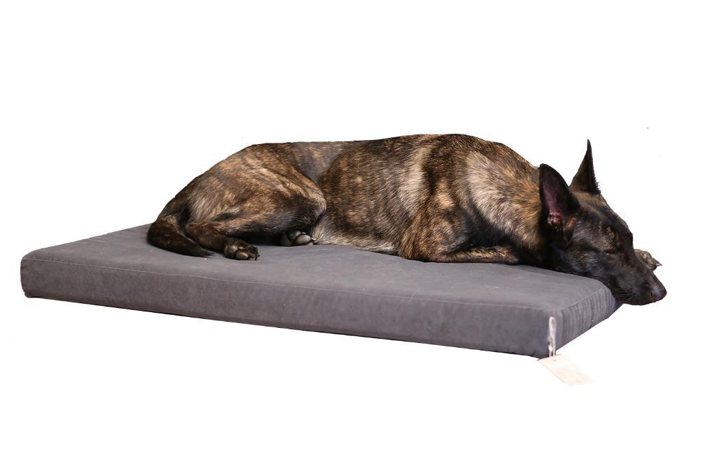 CecePet Arya Küçük Irk İç Mekan Köpek Yatağı Gri