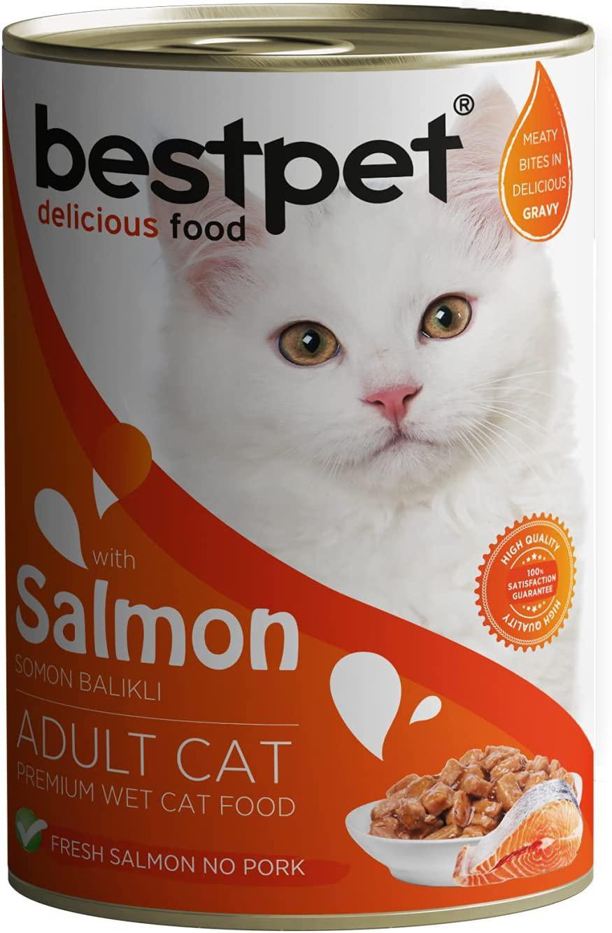 Bestpet Premium Somonlu Soslu Yetişkin Yaş Kedi Maması 12x400 gr