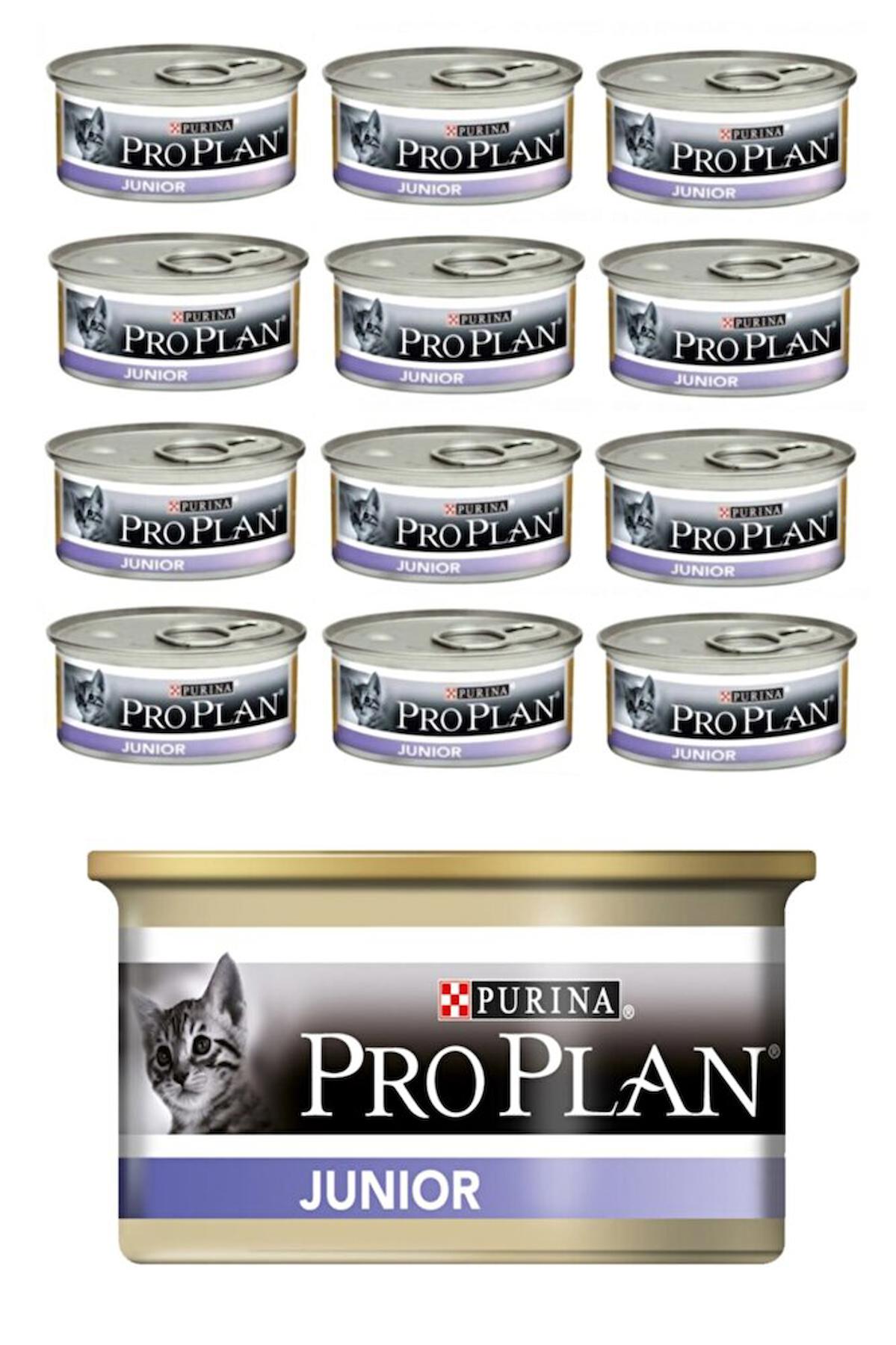 Pro Plan Junior Tavuklu Yavru Yaş Kedi Maması 12x85 gr