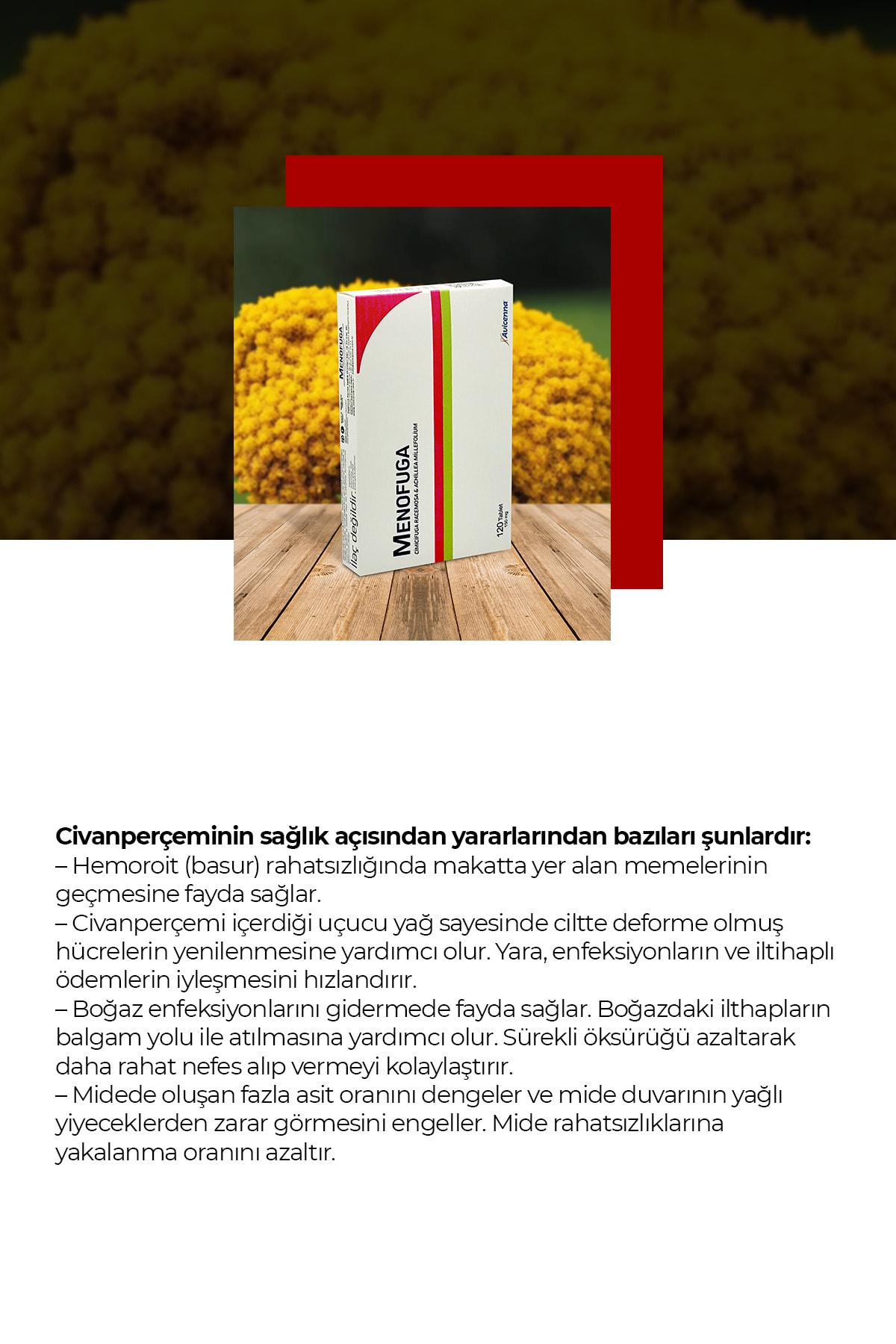 Avicenna Menofuga Sade Unisex Vitamin 120 Tablet