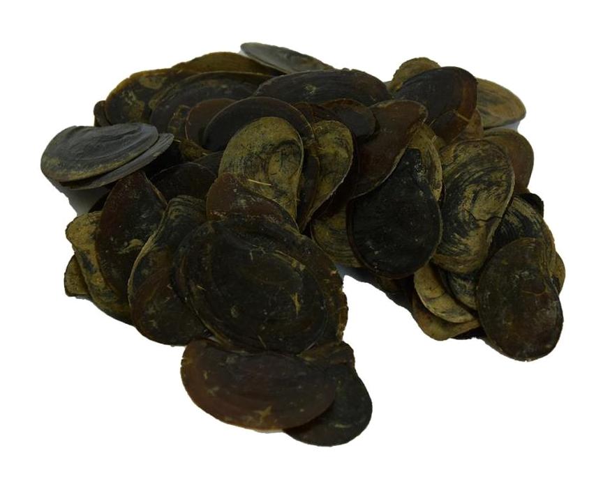 Lokman Avm Baharat Cin Tırnağı Toz 100 gr