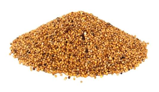 Aktarzane Vegan Hardal Tane 250 gr