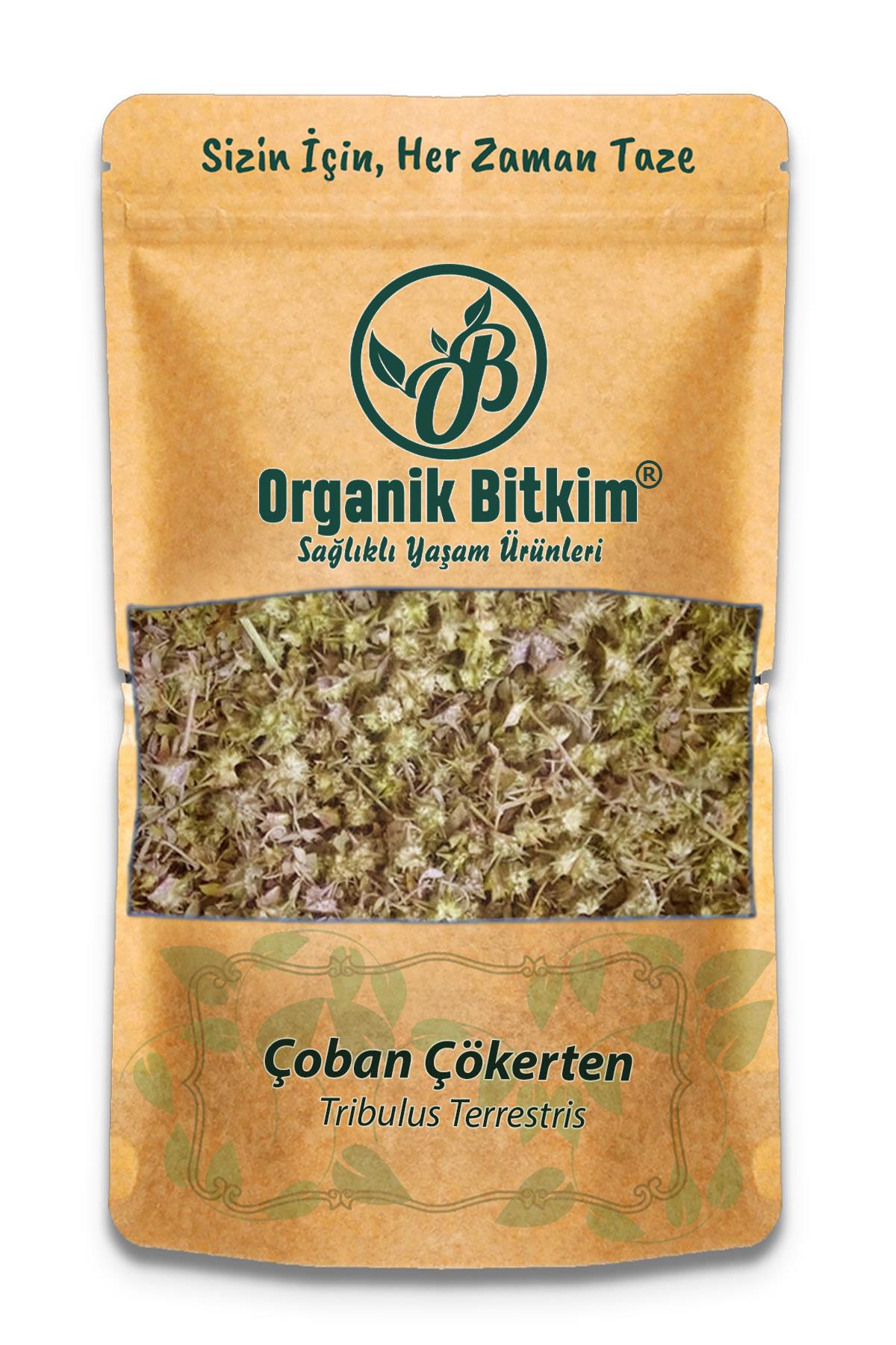 Organik Bitkim Glutensiz Çoban Çökerten Tane 500 gr