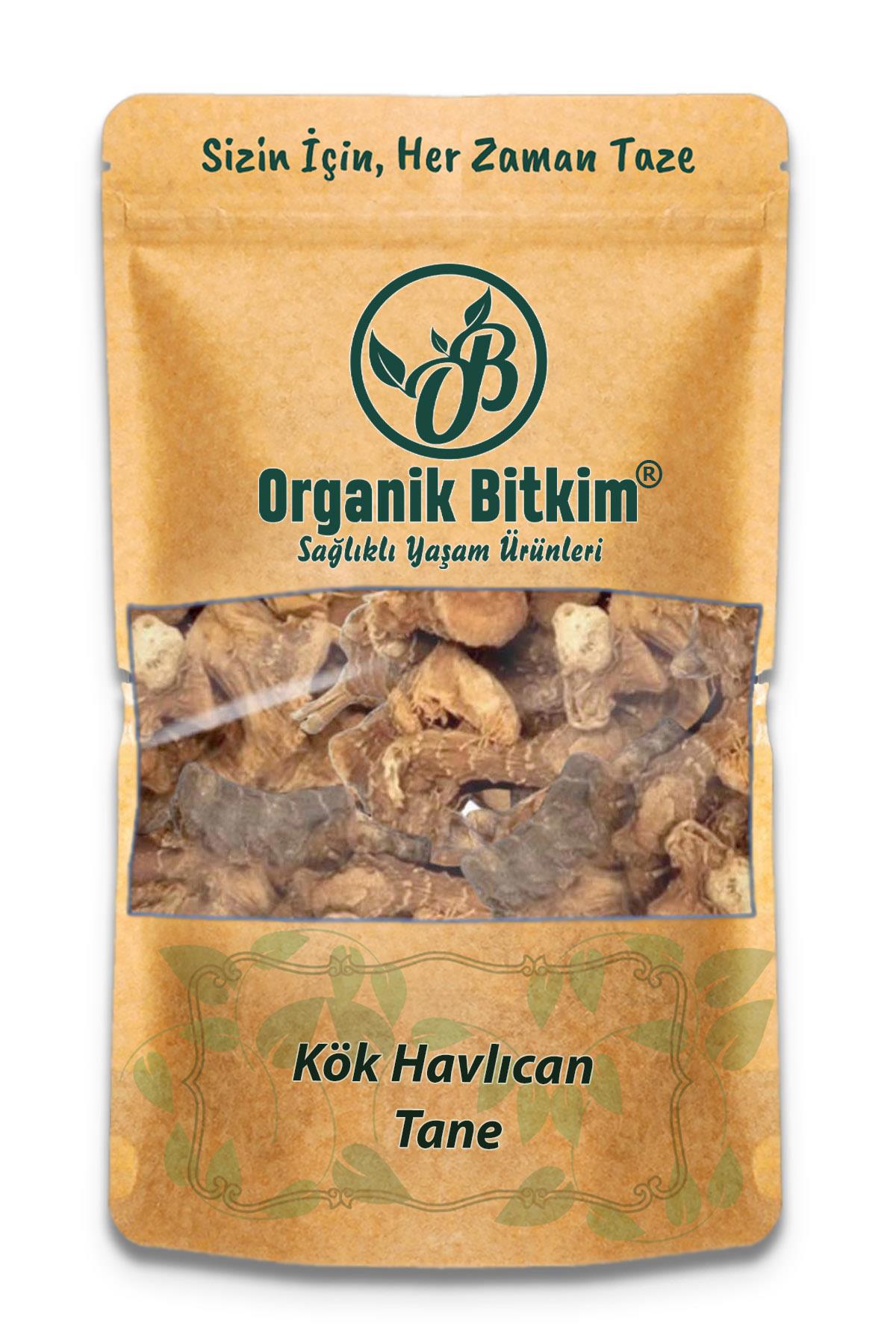 Organik Bitkim Glutensiz Havlucan Kökü Tane 500 gr
