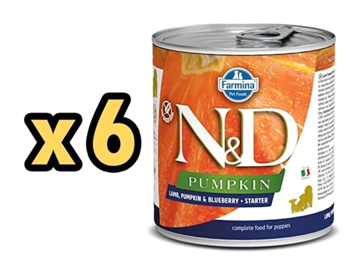 N&D Kuzu Etli-Yaban Mersini Yetişkin Yaş Köpek Maması 285 gr 6'lı