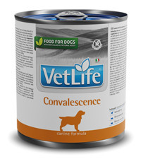 Vetlife Convalescence Yaş Köpek Maması 300 gr