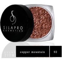 Silapro Cosmetics SP02 Jel Glitter Tekli Far Copper Mountain