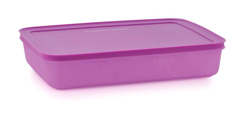 Tupperware 2 Parça Dikdörtgen Plastik Saklama Kabı 2.25 lt