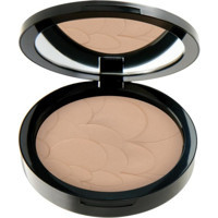 Pastel Profashion Advanced 50 Kompakt Pudra