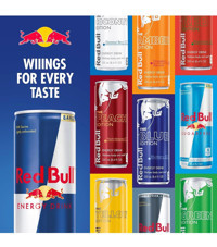 Redbull Karışık Paket 10 Adet 250 ml