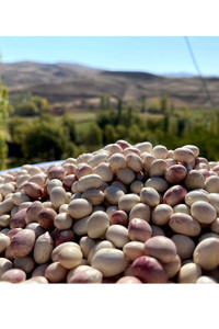 Köyden Gelsin Ispir Fasulyesi 1 Kg