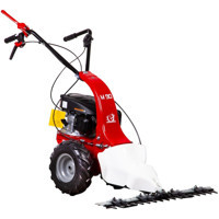 Eurosystems M90 İtmeli Benzinli Çim Biçme Makinesi