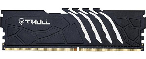 Thull Vortex THL-PCVTX4800D5-64G-B 64 GB DDR5 2x32 6000 Mhz Ram