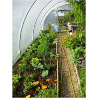 8X18 mt Kalın 36 Ay Sera Örtüsü Sera Naylonu 400 Micron Uv+Eva+Ld+Ab+Ir+Ao Katkılı - 10 m x 10 m - 1 Adet