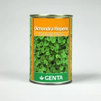 Genta Fare Kulağı Tohumu