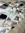 200x290 cm