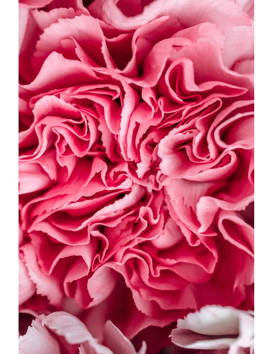 100x150 cm