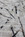 120x400 cm