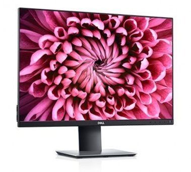 Dell P2421 60 Hz 5 ms 24.1 inç WUXGA Flat IPS VGA HDMI 1920 x 1080 px LED Monitör
