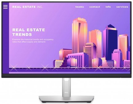 Dell P2422H 60 Hz 5 ms 23.8 inç FHD Flat IPS VGA HDMI 1920 x 1080 px LED Monitör