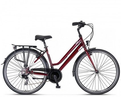 Ümit 2839 Ventura DMD Lady 28 Jant 21 Vites Bordo Şehir / Tur Bisikleti